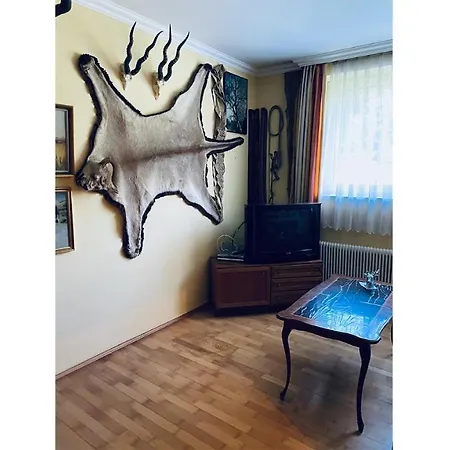 Jagd Landhaus Hallegg Appartamento *